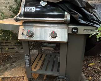 Weber Genesis II E-210 Gas Grill