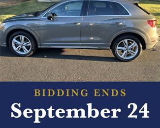 Placer Warehouse Auction: 2020 Audi Q3, Furniture, Art Glass & Collectibles