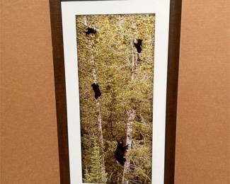 “The Lookout” Yellowstone Framed Wildlife Photographic Print