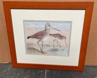 Framed Godwit Print After Archibald Thorburn