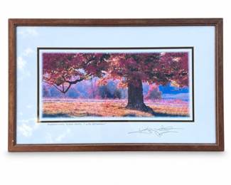 Framed “Shenandoah Sugar Maple” Landscape Photograph
