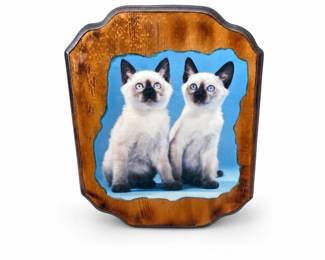 Siamese Kittens Decoupage Wood Wall Plaque