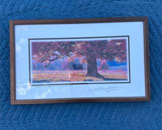 Framed “Shenandoah Sugar Maple” Landscape Photograph (2/2)
