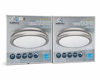 Energetic Lighting 14-Inch LED Flush Mount Ceiling Lights
