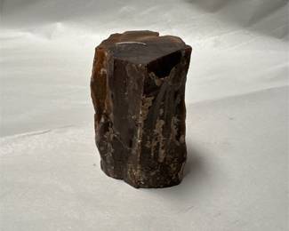 Petrified Wood Specimen with Brown Tones (2/3)