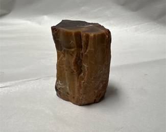 Petrified Wood Specimen with Brown Tones (3/3)