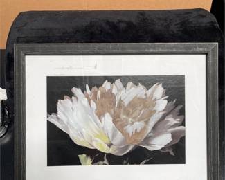 Liz Jardine “White Peony” Framed Art Print