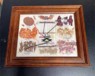 Arletta Henderson Navajo Framed Botanical Dye Chart (2/3)