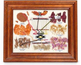 Arletta Henderson Navajo Framed Botanical Dye Chart