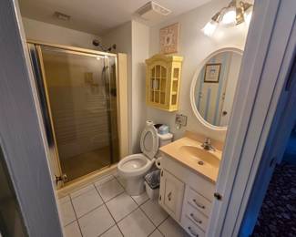 GLASS SHOWER DOOR