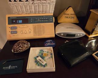 Sony, Talking Radios