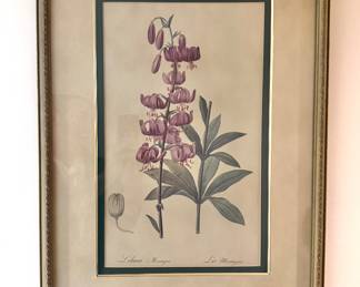 Framed Botanical Flower Studies,Decorative Gilt Frames