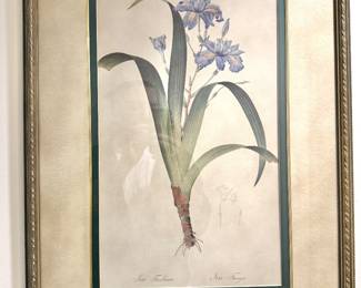 Framed Botanical Flower Studies,Decorative Gilt Frames