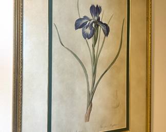 Framed Botanical Flower Studies,Decorative Gilt Frames