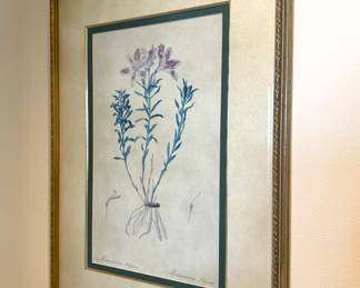 Framed Botanical Flower Studies,Decorative Gilt Frames