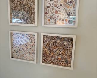 Seashells by the seashore 