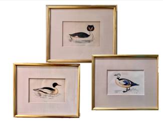 Duck art