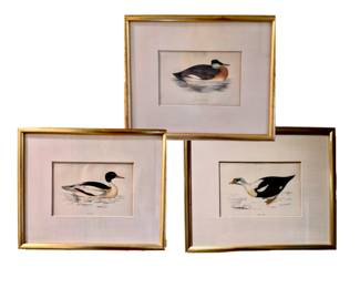 Duck art