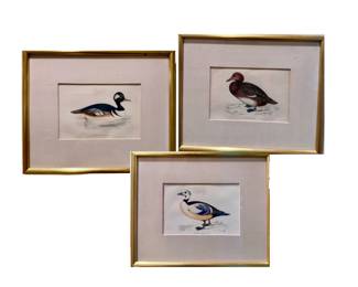 Duck art