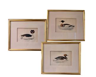 Duck art