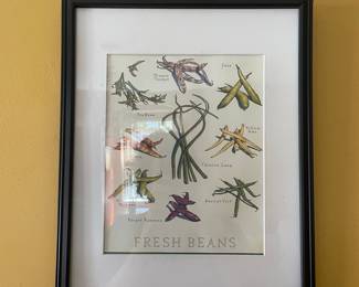Fresh Beans Botanical Print