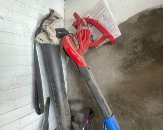 Toro Ultra Blower/Vacuum