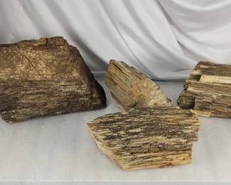 311h 24lbs petrified wood quartz specimen