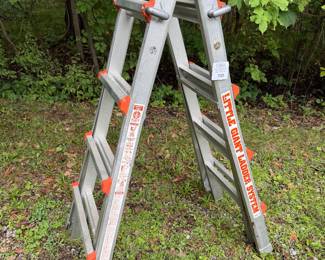 Little Giant Ladder System