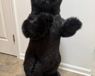 Live looking bear!