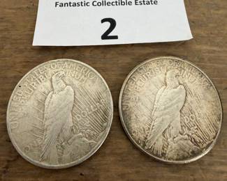 Pair of Silver Dollars