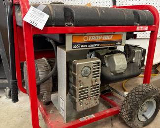 TroyBilt Generator