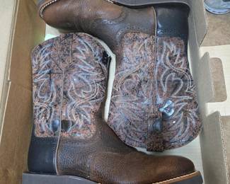 Ariat men's boots