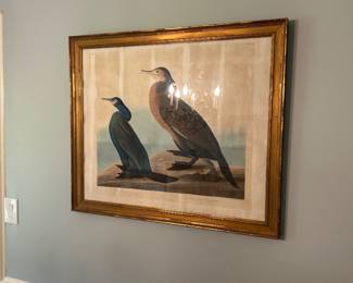 Audubon in gold frame 34x29