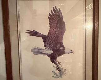 Hugh Hirtle Bald Eagle Print