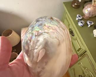 Vintage Polished Abalone Shell Decorative Wall Plaque