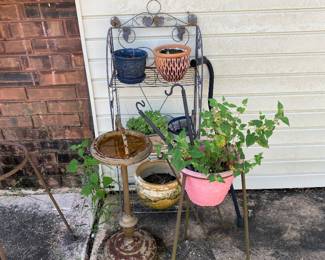Plants