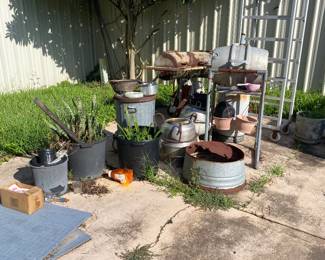 Plants and pots