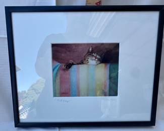 Cat Nap Framed Sleeping Cat Artwork Print 