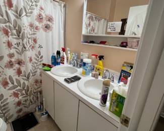 Toilet scrubber anyone? 2 new like most of these cleaning products