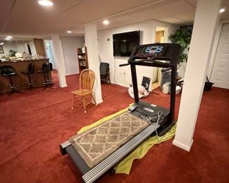 Treadmill walker