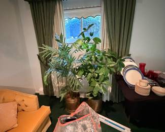 Plants