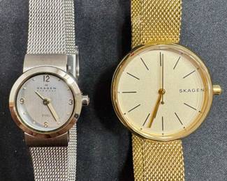Skagen Watches