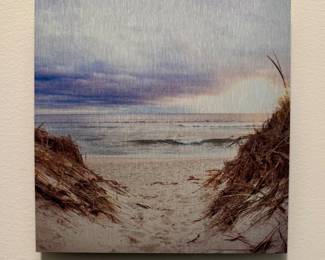 "Dunes" Nancy Reid Carr Miniature Photograph on Aluminum