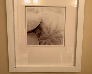 Stupell Industries Serene Beige Sand Dollar Framed Print