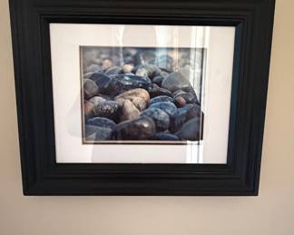Trademark Fine Art "Shoreline Treasures" Framed Print by Stephen Stavast