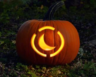 moonglowinsta