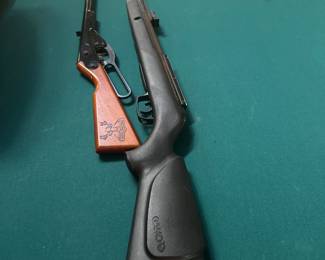 Buck BB Gun & Gamo Pellet Rifle