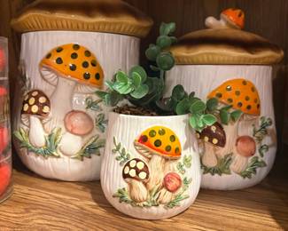 Merry mushroom canisters