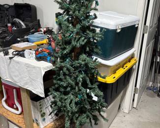 Christmas Tree and Coolers