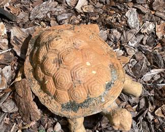 garden turtle